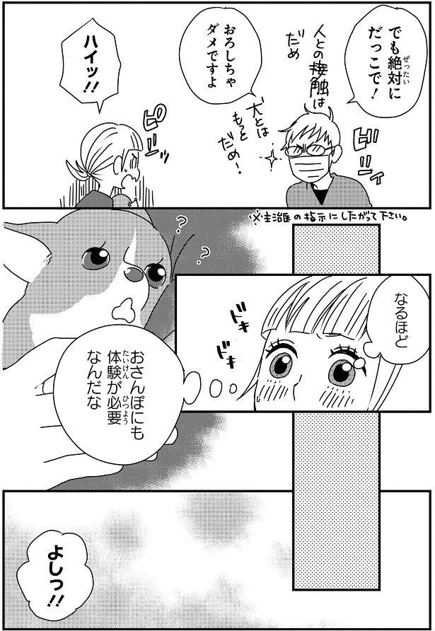 おさんぽにも体験が必要 （C）らくだ／KADOKAWA