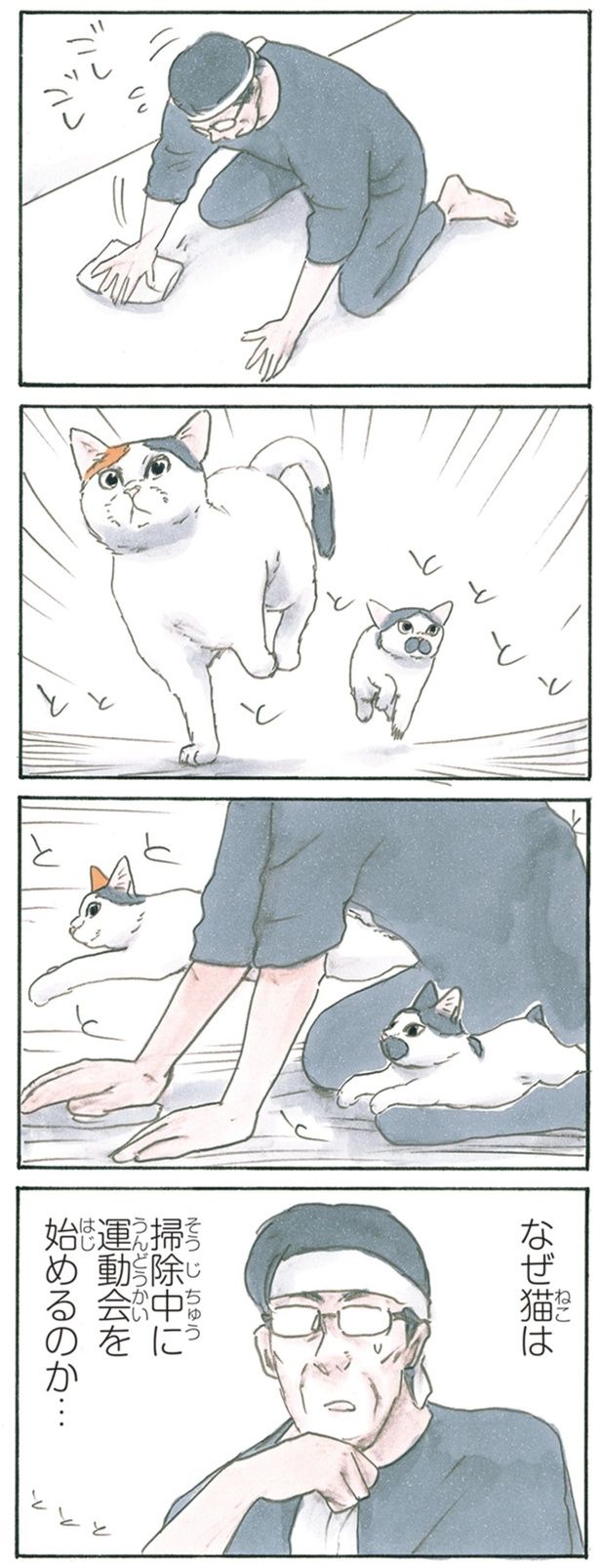  なぜ猫は （C）にごたろ／KADOKAWA
