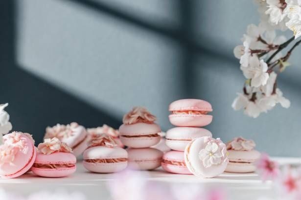「桜マカロン」をお花見のお供に