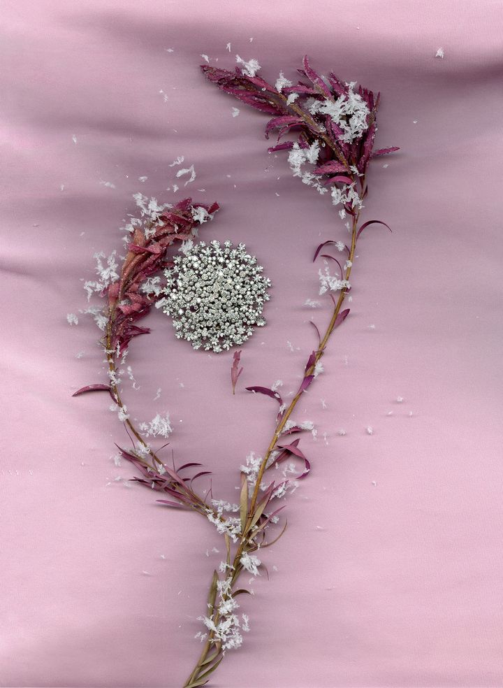 「FLEUR DE CAROTTE」ブローチ ダイヤモンド×WG ￥63,360,000（予定価格）／BOUCHERON（ブシュロン クライアントサービス）