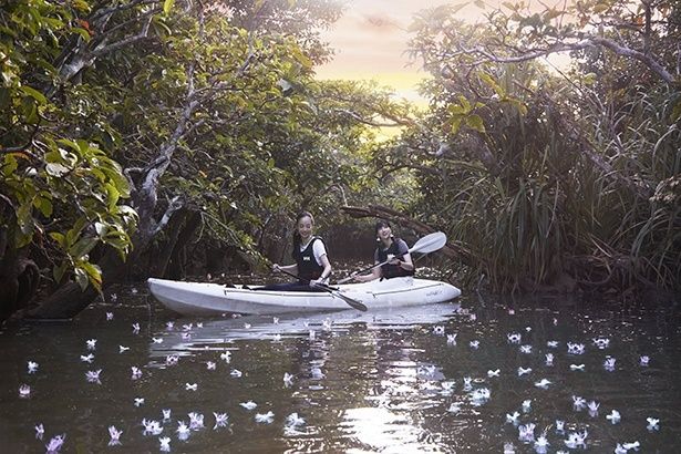 カヤックでサガリバナの川を進む様子