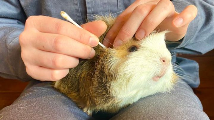 豊かな山林に囲まれ、美しい自然が今も色濃く残る山口県周南市。その中心に位置し、市民から愛され続ける「周南市徳山動物園」から、見ているこちらまで幸せな気分になれるワンシーンが届きました。