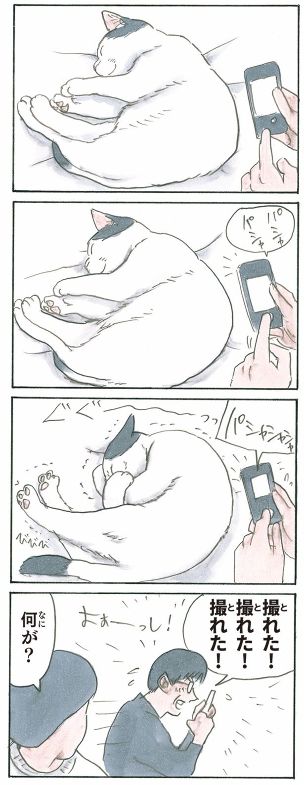  撮れた！ （C）にごたろ／KADOKAWA