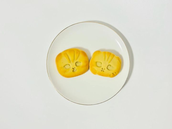 画像4: 出典：ftn_pics