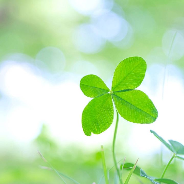 2026年2月24日(火) 開運日