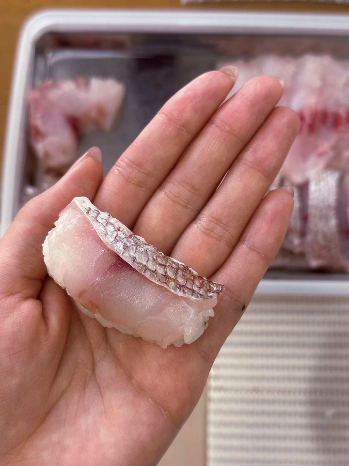 八木アリサのハマりもの