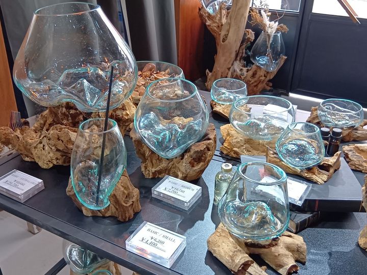 初心者でも楽しめる！エアープランツ×流木インテリア！エアープランツ用の流木を探しに行ってきました！