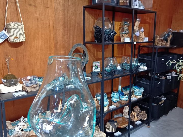 初心者でも楽しめる！エアープランツ×流木インテリア！エアープランツ用の流木を探しに行ってきました！