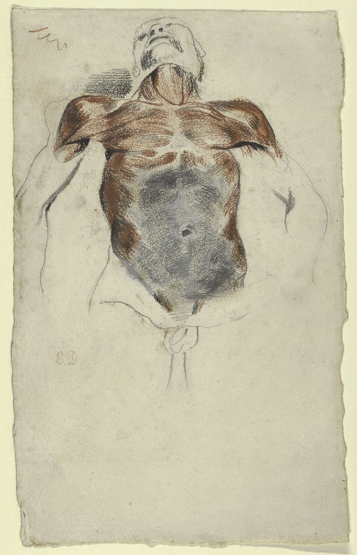 Ecorché: Torso of a Male Cadaver, Eugène Delacroix (French, 1798–1863), 1828?; Gift from the Karen B. Cohen Collection of Eugène Delacroix, in honor of William M. Griswold, 2013 (2013.1135.23).<br /> 