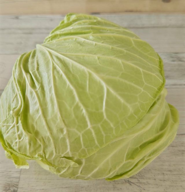 春キャベツ