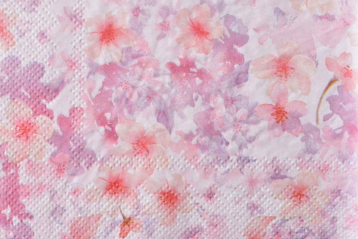 【セリア】ひな祭りグッズ2026！超かわいいディスプレイアイテムも紹介