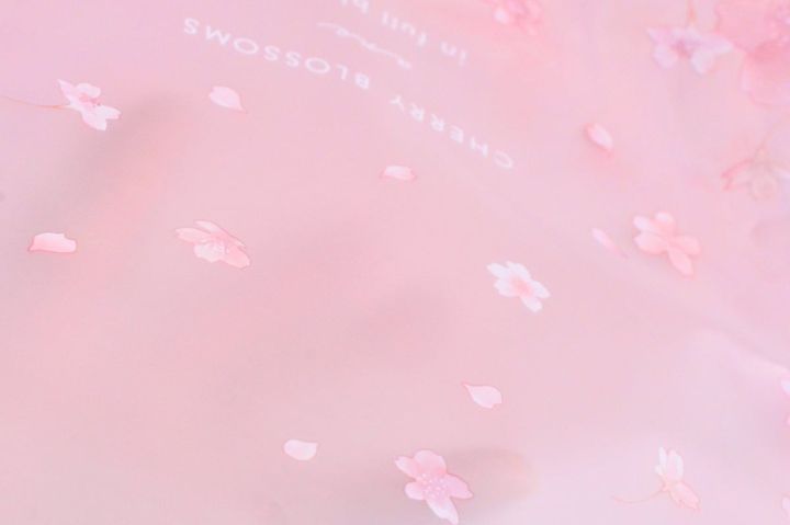 【セリア】ひな祭りグッズ2026！超かわいいディスプレイアイテムも紹介