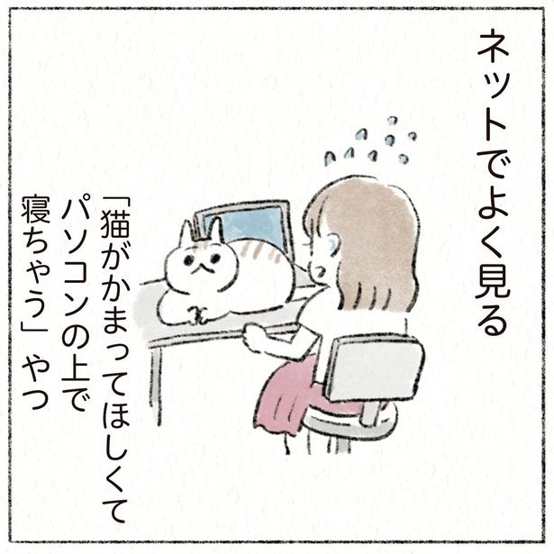 ネットでよく見る （C）のなか海／KADOKAWA