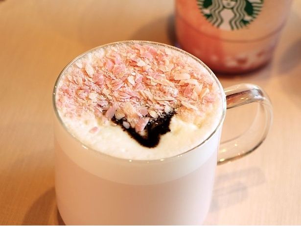 アートに使用された2色のフレーバーシェイブとチョコレートソースが溶けてきた瞬間もおいしい！