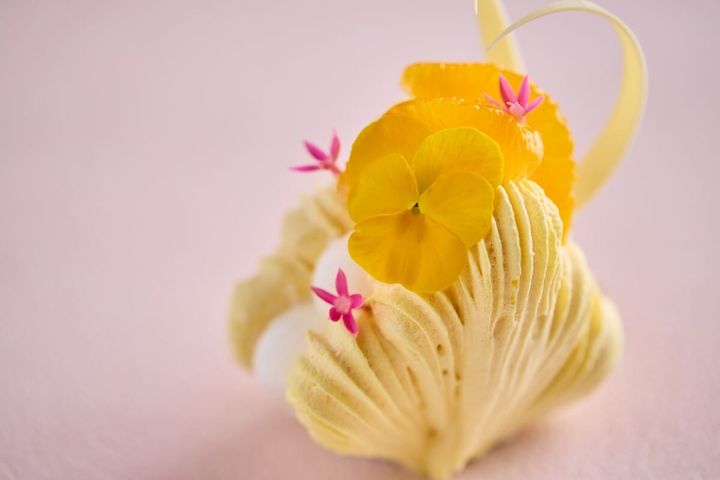 ムラングシャンティ～ミモザ～ Meringue and Whipped Cream with Orange in Sparkling Wine