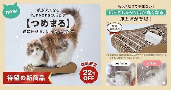 猫を中心に考えるnyansが、創業10年目の猫の日に合わせ3つの「ニャンペーン」を開催