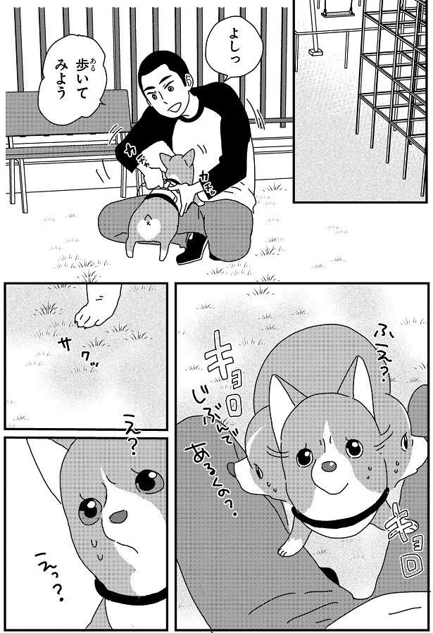 じぶんであるくの？ （C）らくだ／KADOKAWA