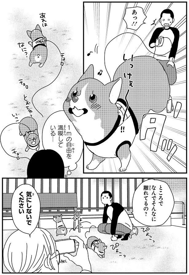 1mの自由を満喫している… （C）らくだ／KADOKAWA