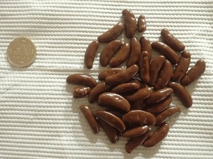 DAISO(ダイソー)：でん六 柿の種チョコ 34g