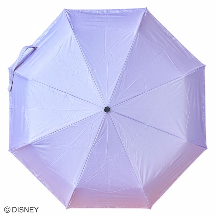 晴雨兼用両面印刷折りたたみ傘55cm（ラプンツェル/ファイナルフレーム）2