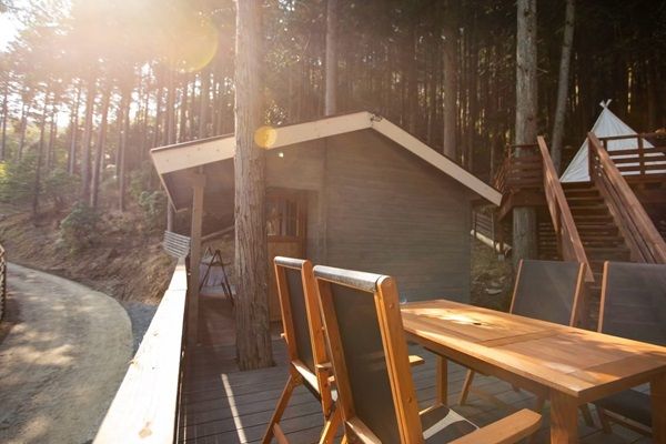 【兵庫県丹波市】愛犬とノーリードで走れる「カニクロス」の大会が、丹波市で4月と11月に開催！