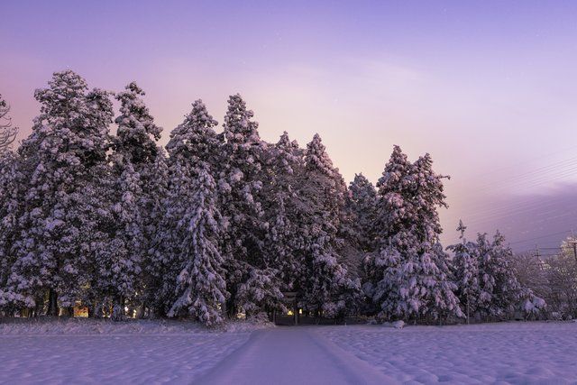 阿毘地神社（あびちじんじゃ）