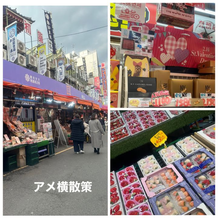 26年２月kotokoさんブログ_アメ横散策