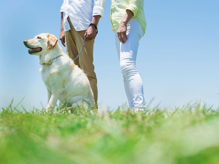 還暦結婚、還暦離婚……60歳を迎えて人生を変える女性が増えている。安定した生活を手放し、新たな生活をスタートさせるのはなぜなのか。結婚した人、離婚した人それぞれに話を聞いた。※サムネイル画像：PIXTA
