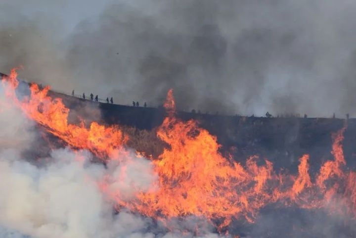 大室山の斜面全体を炎が包む全山焼き
