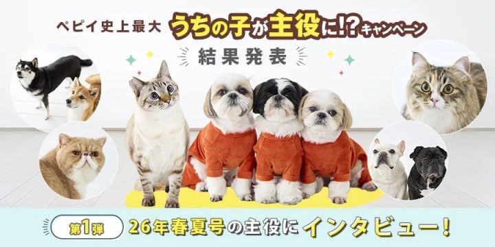 犬猫モデルが並ぶペピイ表紙募集キャンペーン結果発表ビジュアル