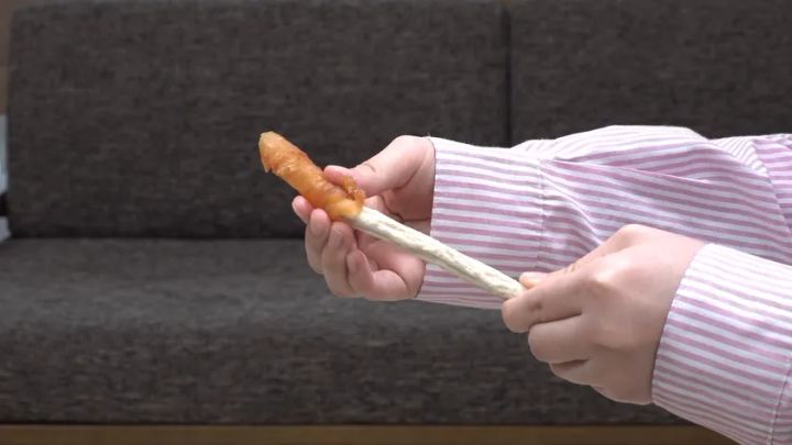 手で持ったスティックおやつを犬に与える様子