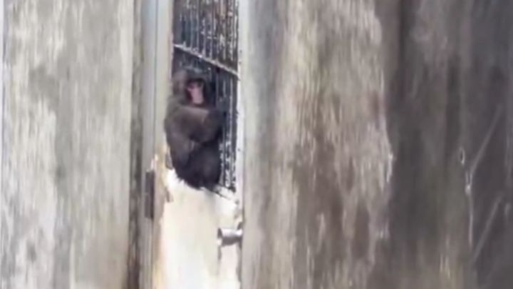 soa.さん（@soa1457937_soa）のXより