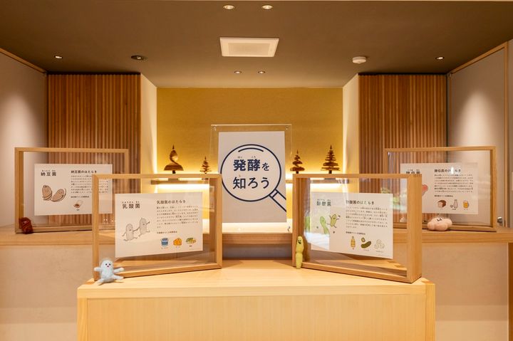 木升を模した家具が配された温かみのある空間