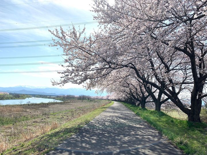 春は桜並木で名高い加治川のほとりに立地