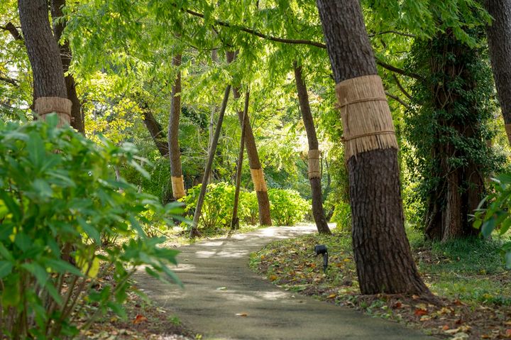 木立に囲まれた小道をたどって「菊水日本酒文化研究所」へ