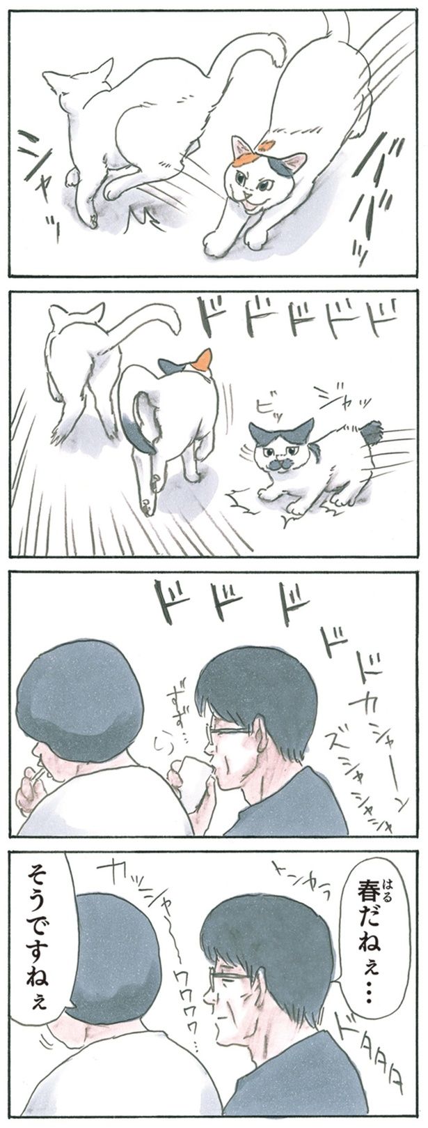  春だねぇ… （C）にごたろ／KADOKAWA