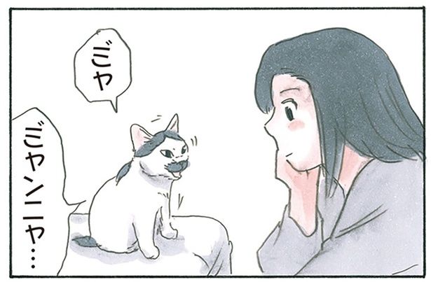 猫と会話 （C）にごたろ／KADOKAWA