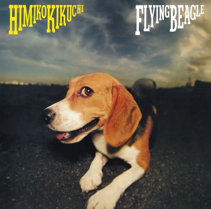 菊池ひみこのアルバムFlying Beagleのジャケットビジュアル