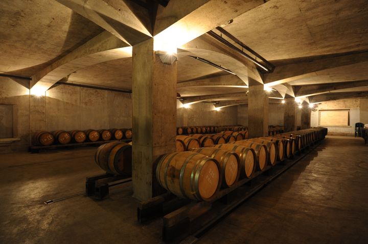 ※サドヤのワインセラー