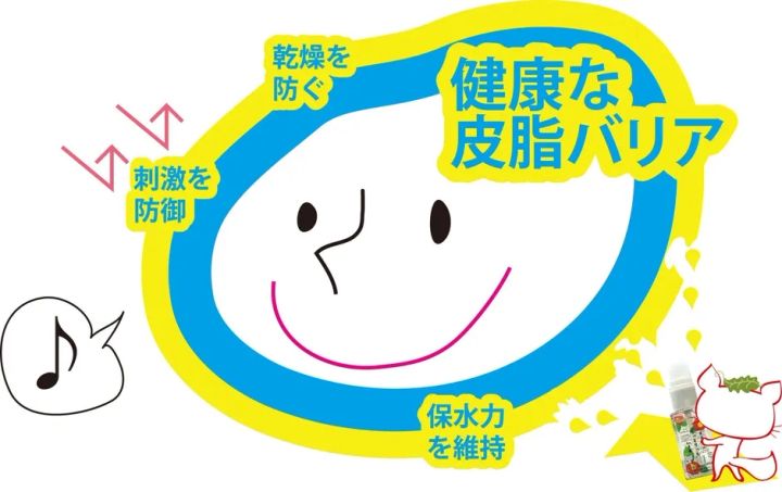 皮脂バリア機能を示すしっとりっちの図解ビジュアル