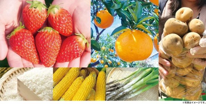 ウマウマ野菜イベントの対象食材コラージュ