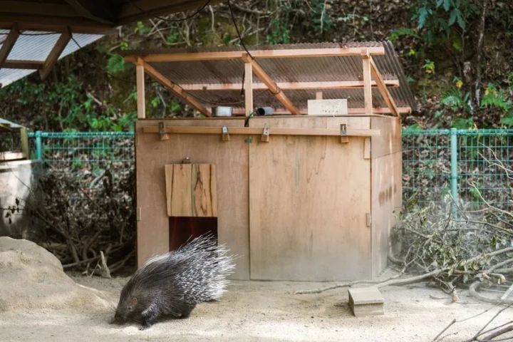 ヤマアラシ小屋に導入された断熱改修設備