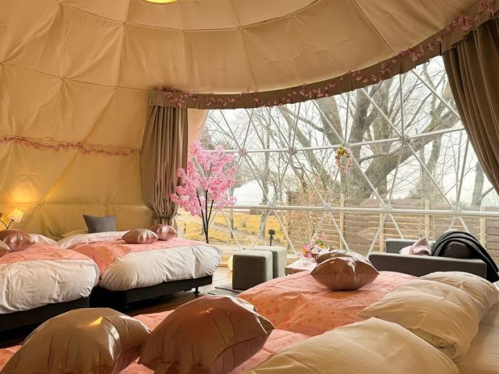 桜装飾のドームテントで楽しむインドアお花見