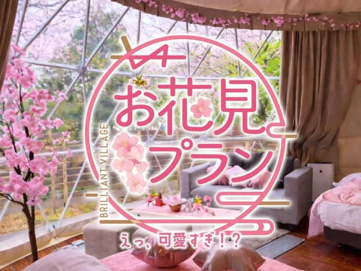 桜色の室内装飾で楽しむお花見プラン告知ビジュアル