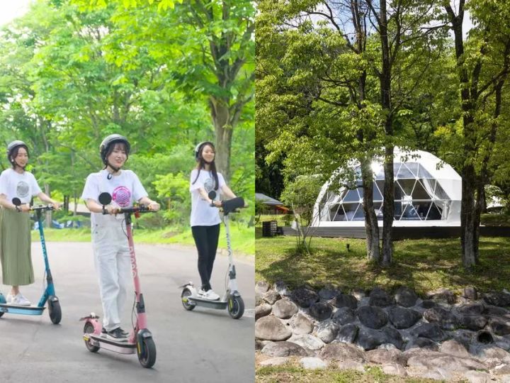 新緑の園内とドームテント外観のイメージ