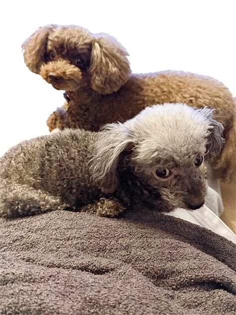 池田美優のお守り