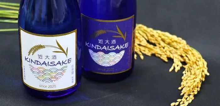 純米吟醸近大酒と純米近大酒の新酒ボトル