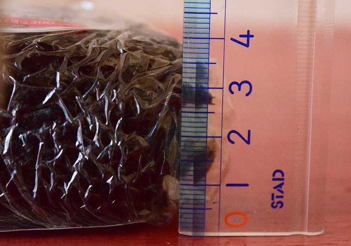 「おおきなおむすび」の高さは約3.5cm