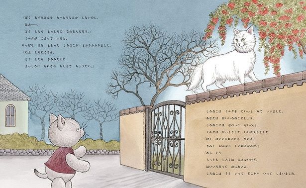 出会ったネコにも聞いてみますが…