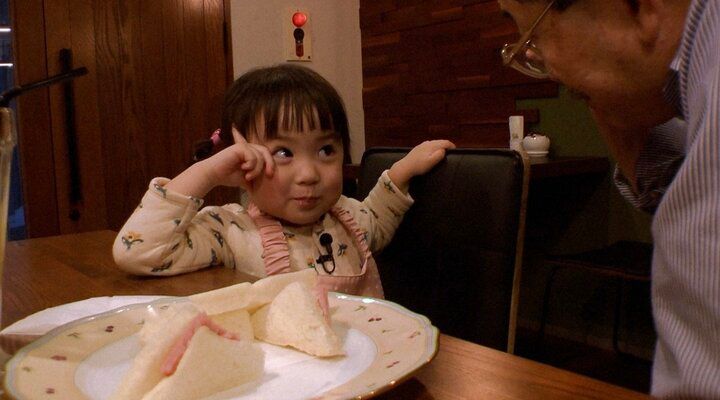 探偵！ナイトスクープ